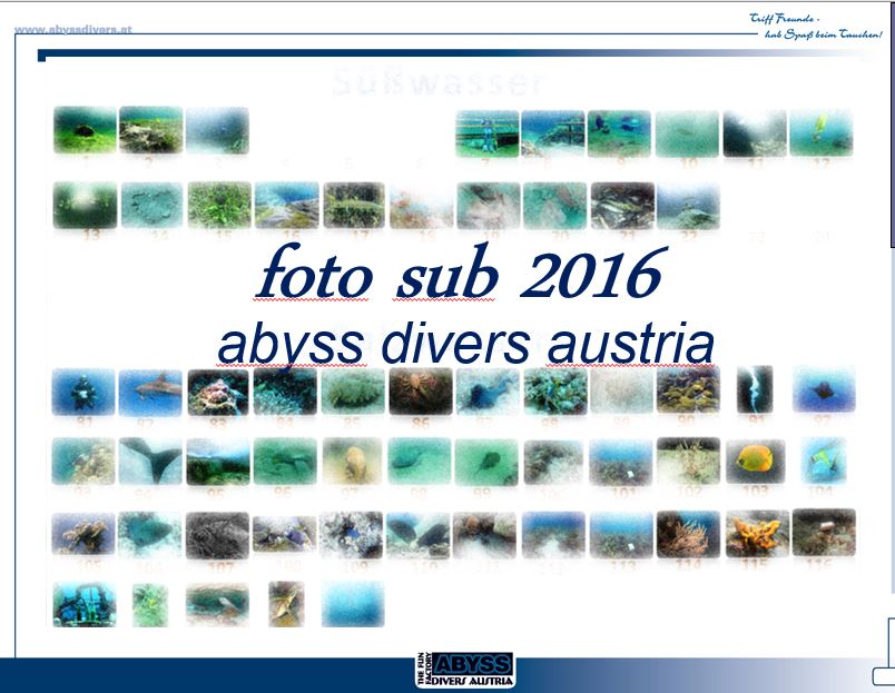 FotosSub 2016